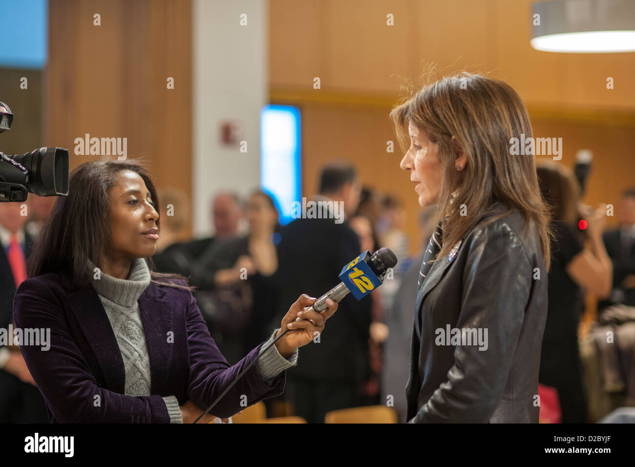 Brooklyn Public Library CEO Linda Johnson is interviewed by local