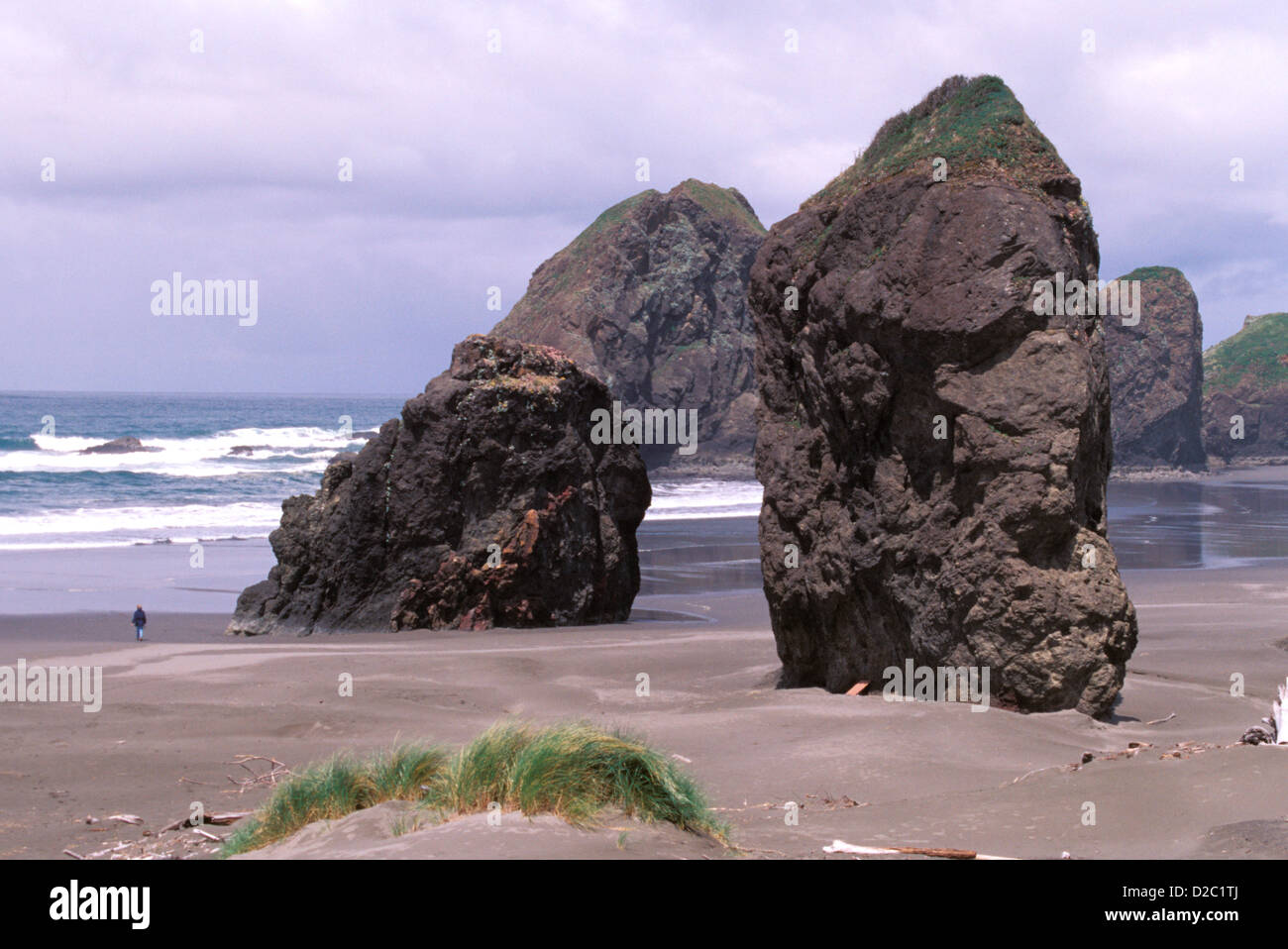 Oregon. Pistol River State Park Stock Photo Alamy