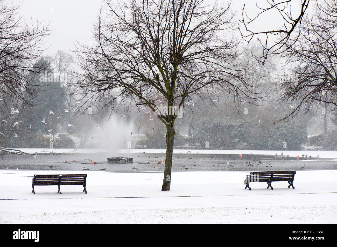 Victoria Park in January, London, United Kingdom Stock Photo