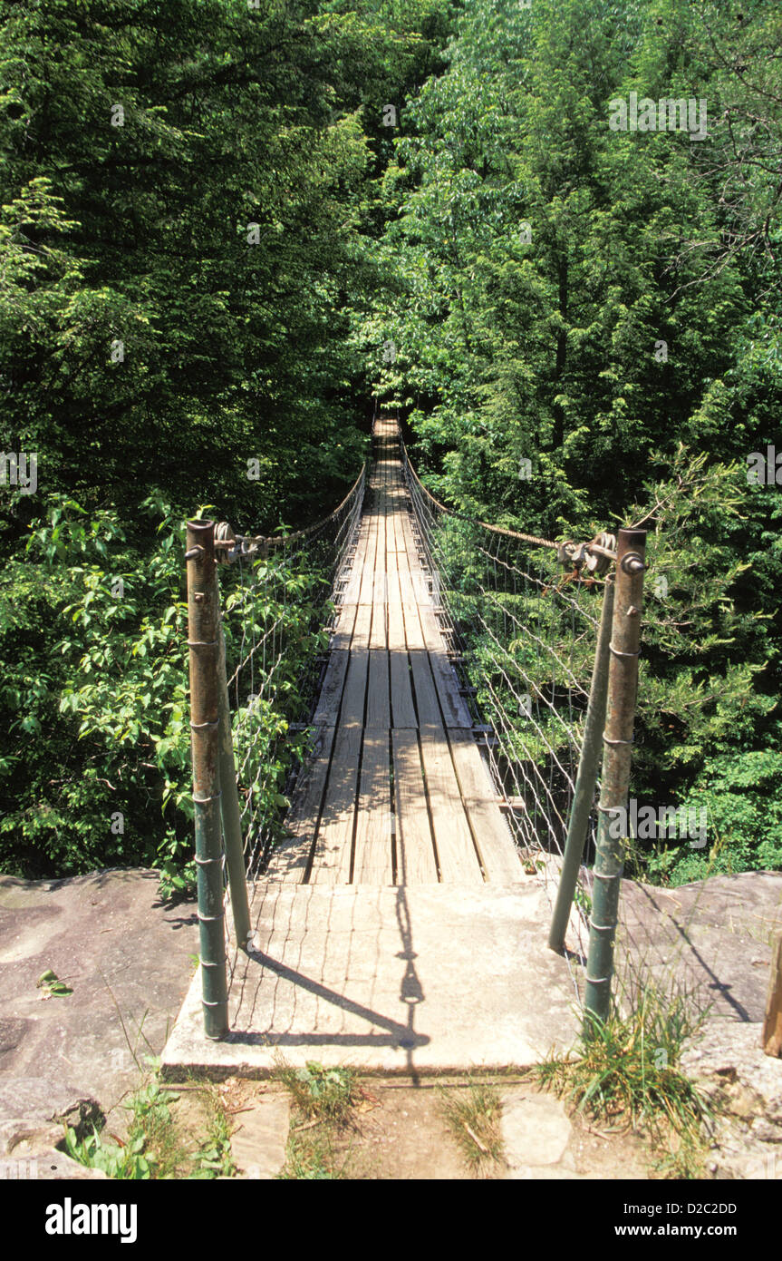 Tennessee Fall Creek State Park Swinging Bridge Over Piney