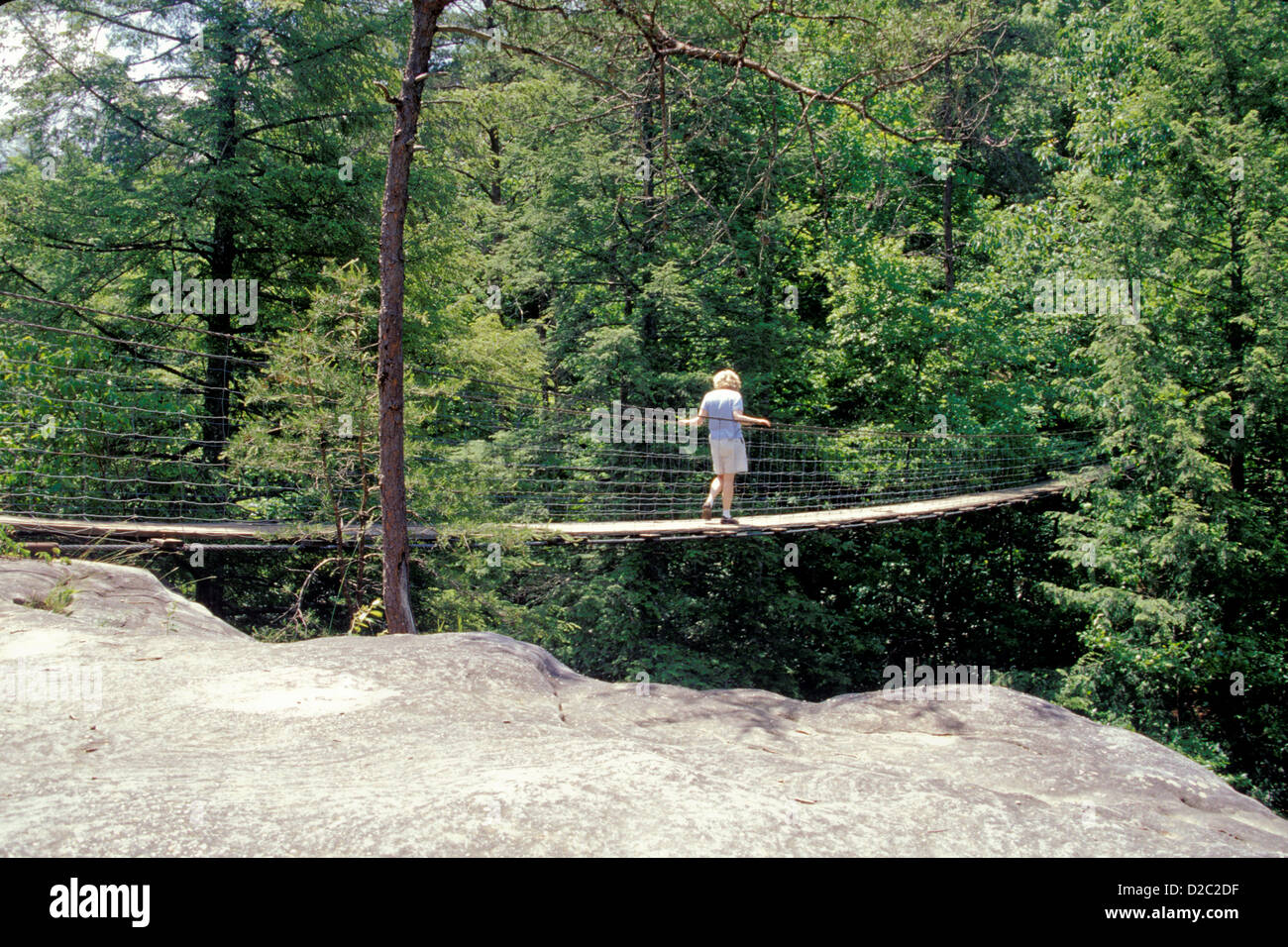 Tennessee Fall Creek State Park Swinging Bridge Over Piney