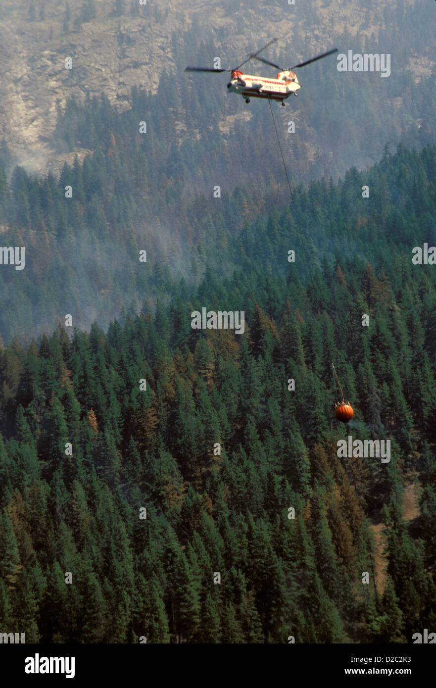Washington Lake Chelan National Recreation Area Flick Creek Forest Fire Helicopter Carrying Water In Bambi Bucket Fight Fire. Stock Photo