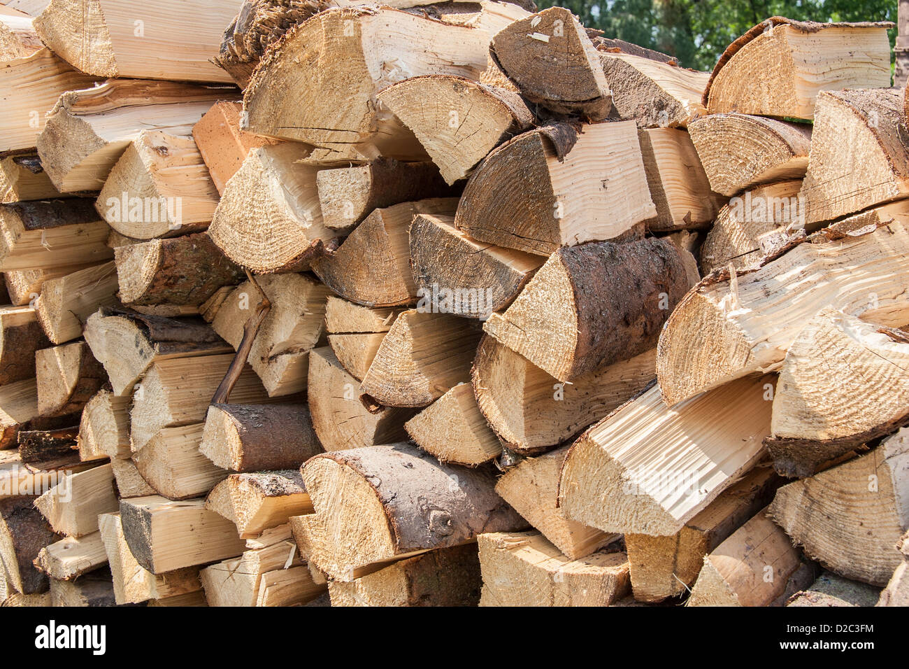 Natural stack of wood in forest Stock Photo Alamy