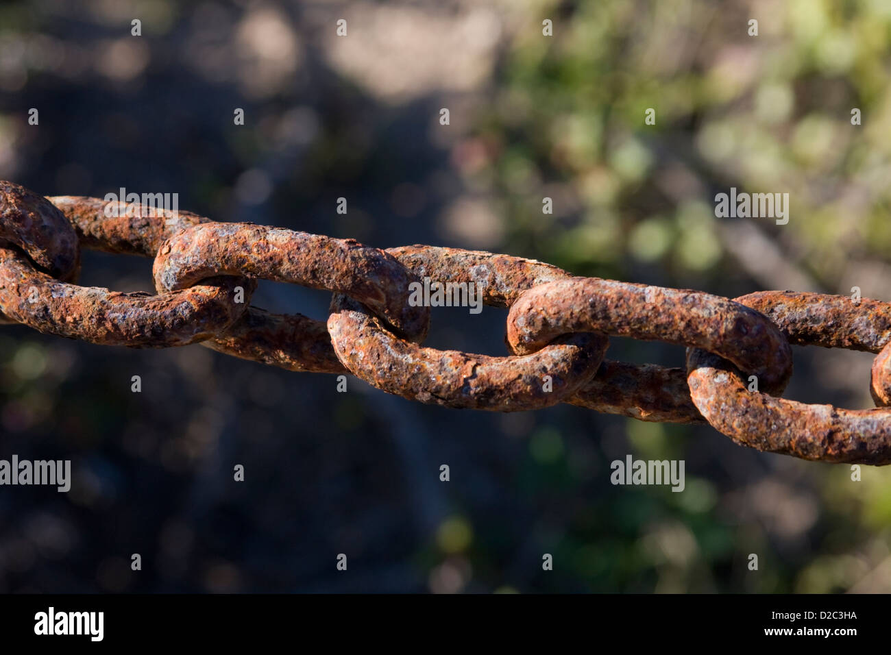 Rusted chain used in a fence along the coast in Pacific Grove ...