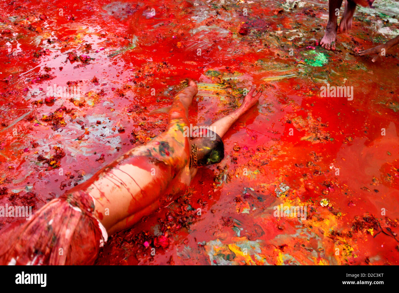 Brahmin Rolls In Colored Waters At Nandgaon Temple During Festival Of Holi, Vrindavan, India Stock Photo