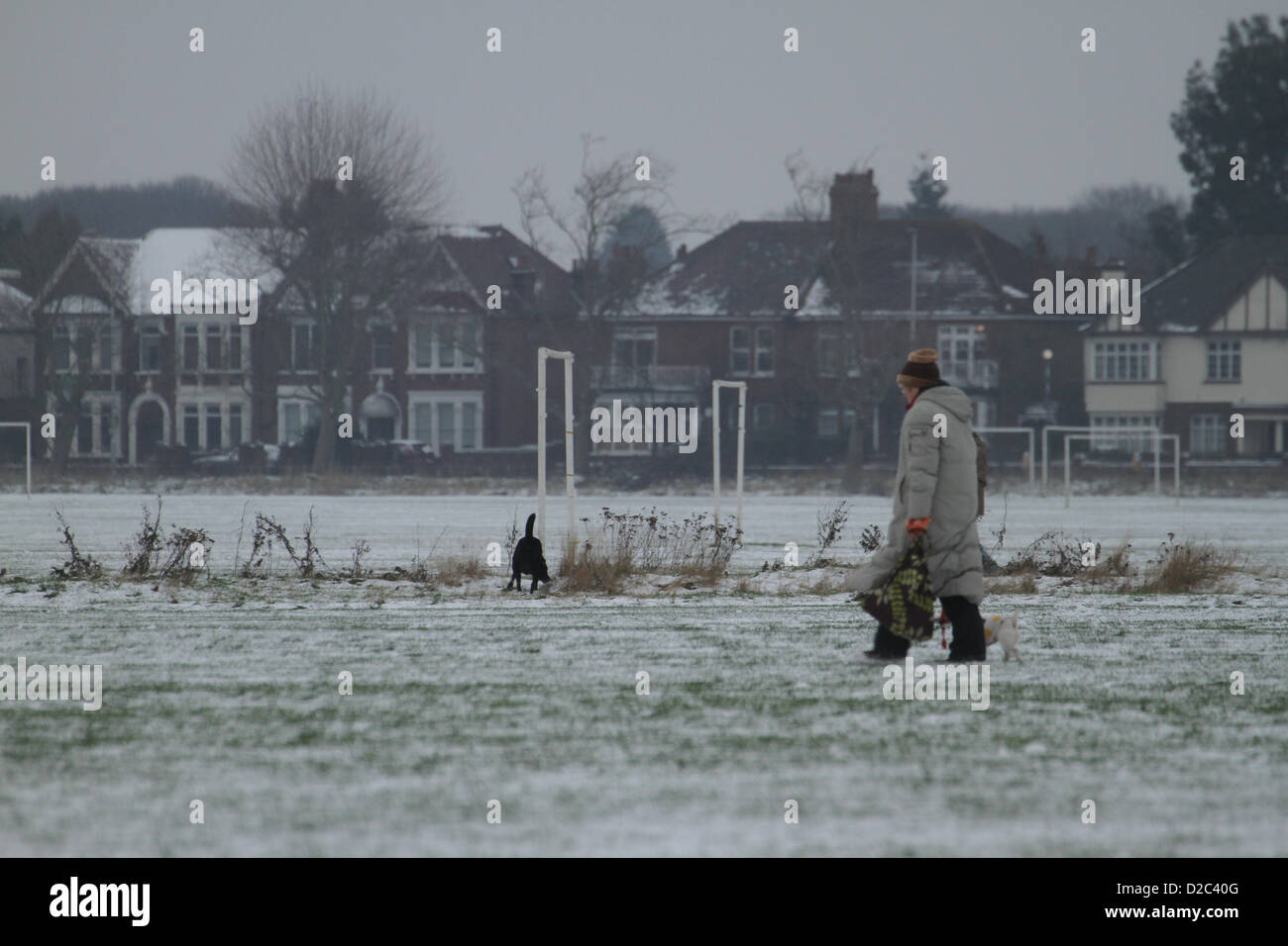 A woman walk across a field in Wanstead Flats. Despite the cold temperatures, Londoners ventured outside. Credit David Mbiyu/Alamy Live News Stock Photo