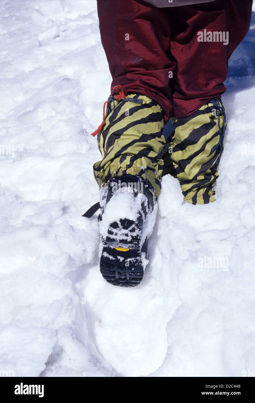 Trekker With Snow Shoes And Getters,Tapovan, Gangotri, Himalaya, Uttaranchal, India. Stock Photo