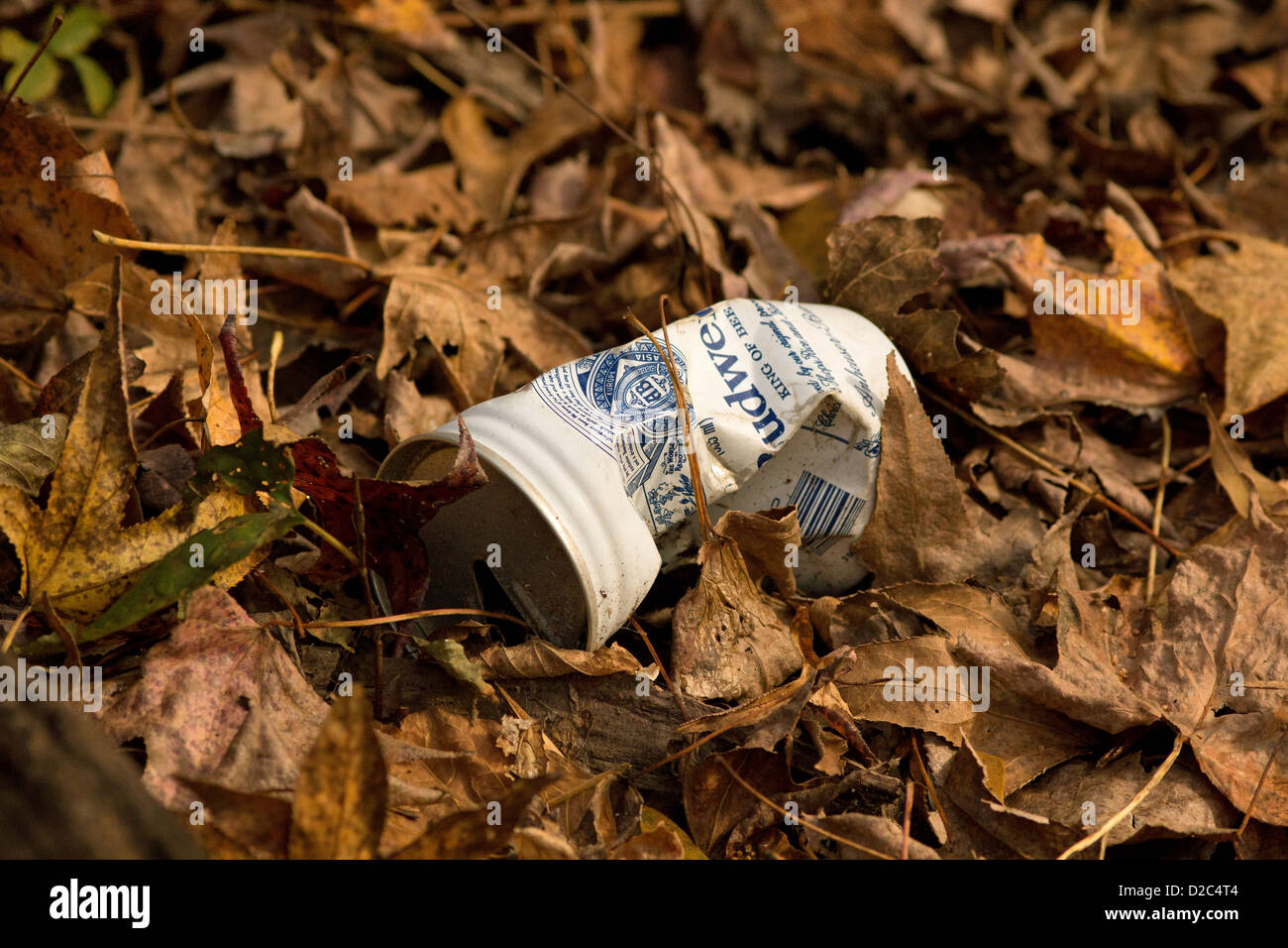 litter, empty beer can Stock Photo