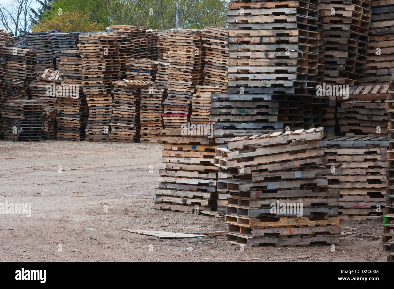 Stacks of pallets at pallet recyling business in Michigan, USA Stock