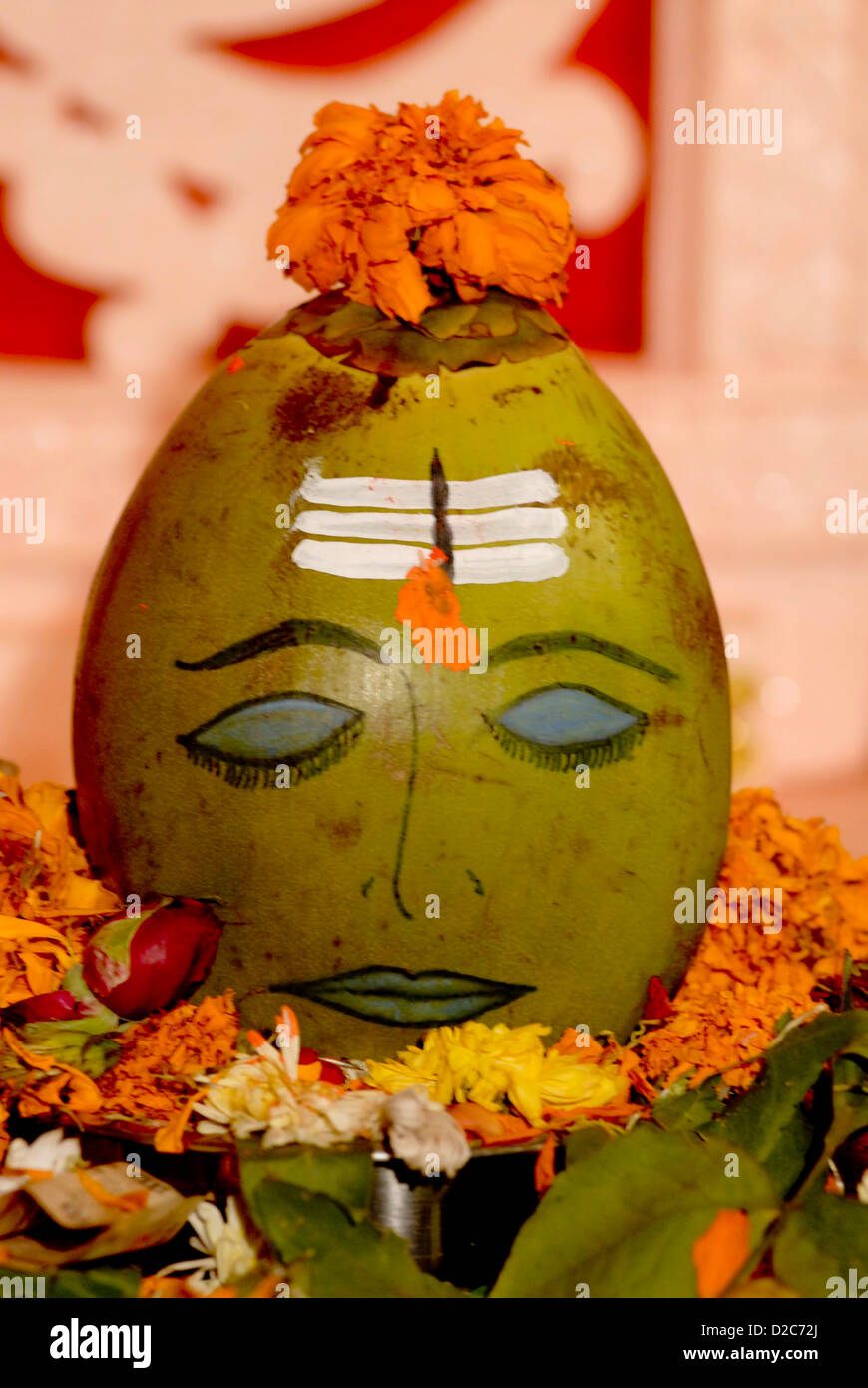 Coconut Painted With Human Face For Worshiping, Ganapati Festival At Borivali, Bombay Mumbai, Maharashtra, India Stock Photo