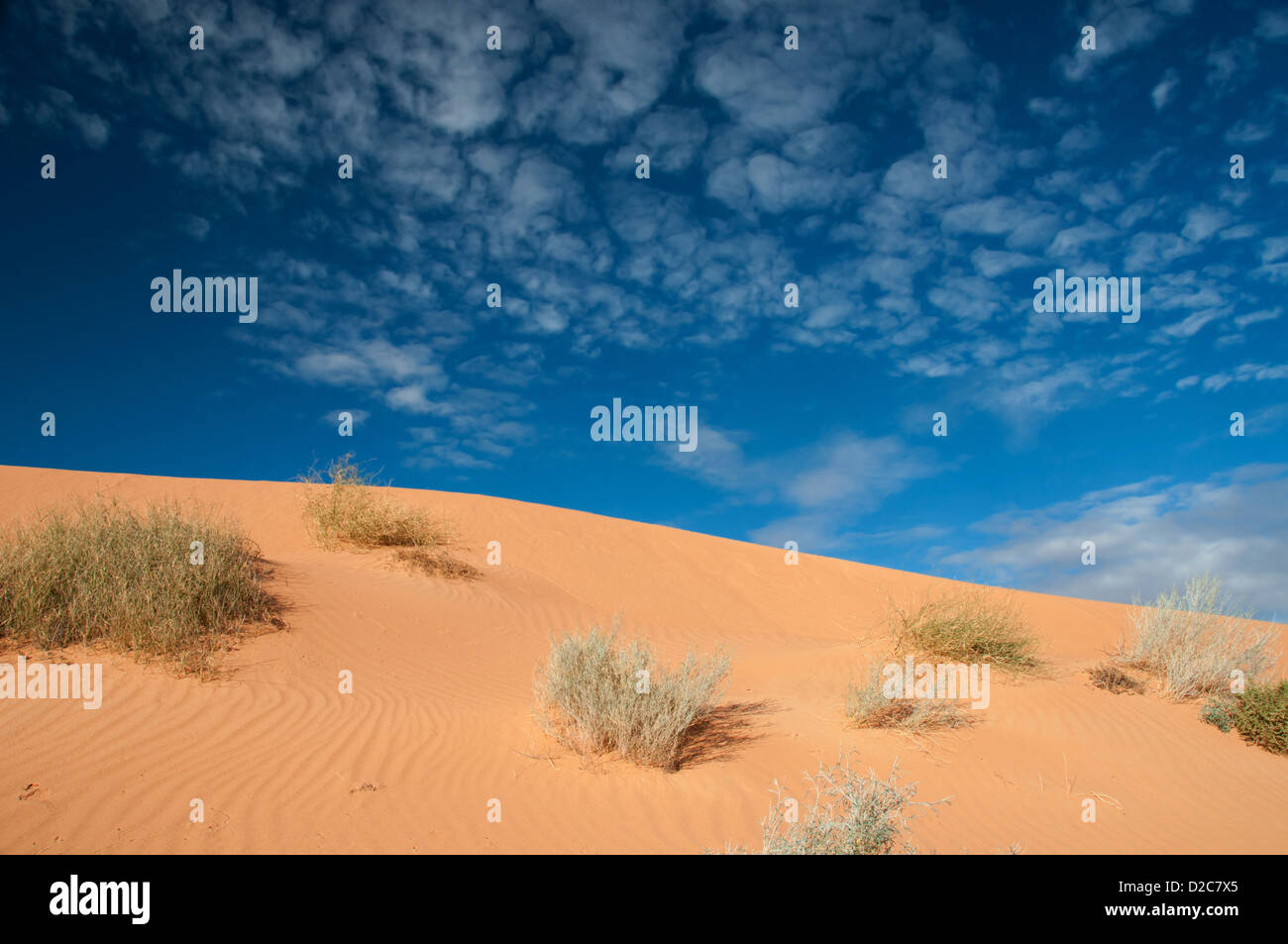 Simpson Desert Stock Photo Alamy