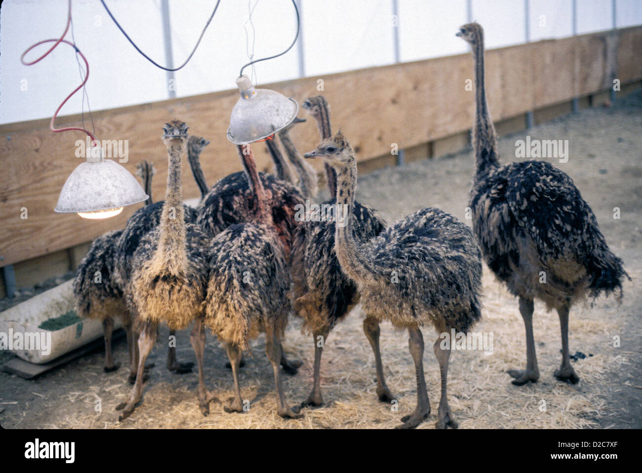 Conewango valley hires stock photography and images Alamy