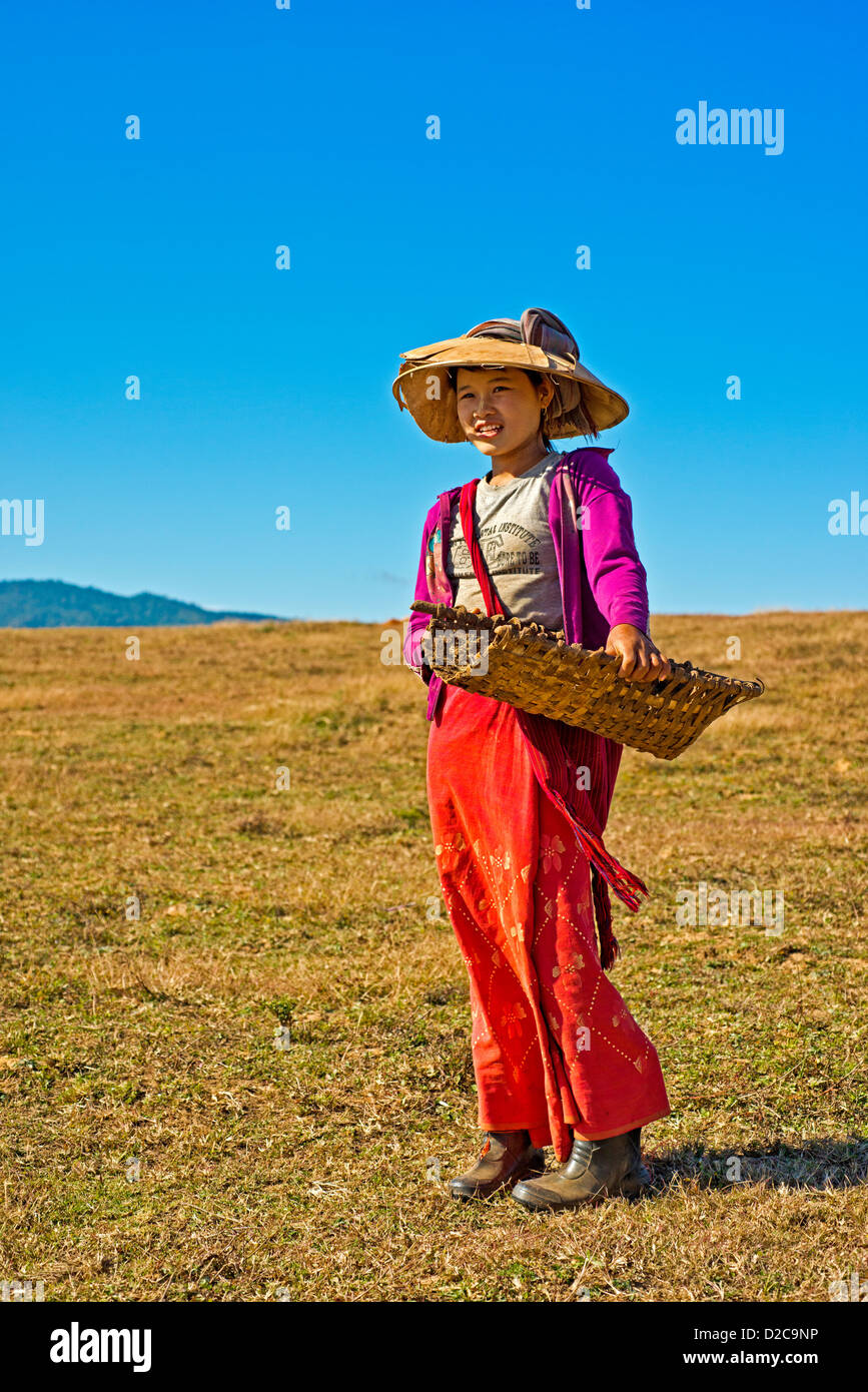 Burmese tribal girl farmer tends her fields in Pindaya, Myanmar. Stock Photo