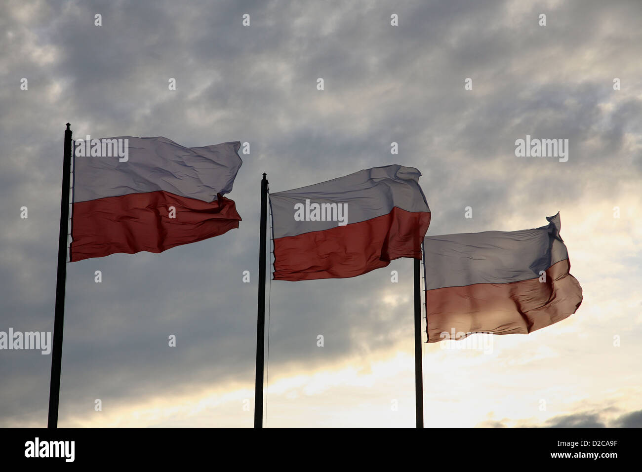 Poznan, Poland, Polish flag flies on the day of independence (Swieto Niepodleglosci) Stock Photo