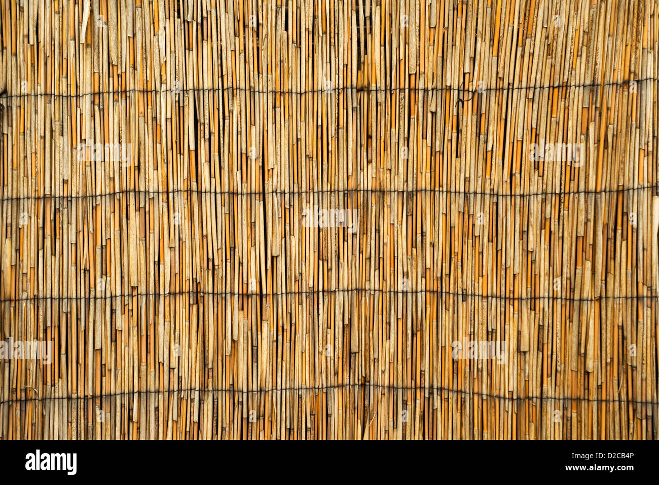 Cane roof texture, high res image of dry reed Stock Photo