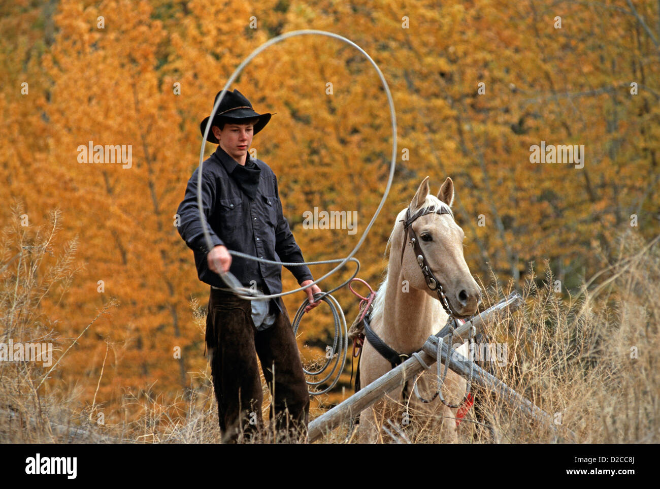 Lasso swinging hi-res stock photography and images - Alamy