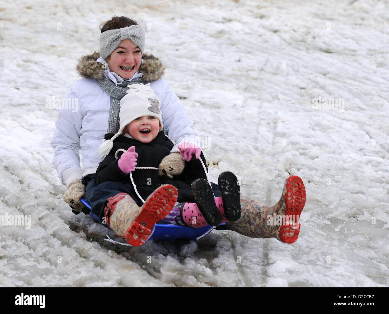 Sledging, sledding, Dorset, UK Stock Photo Alamy