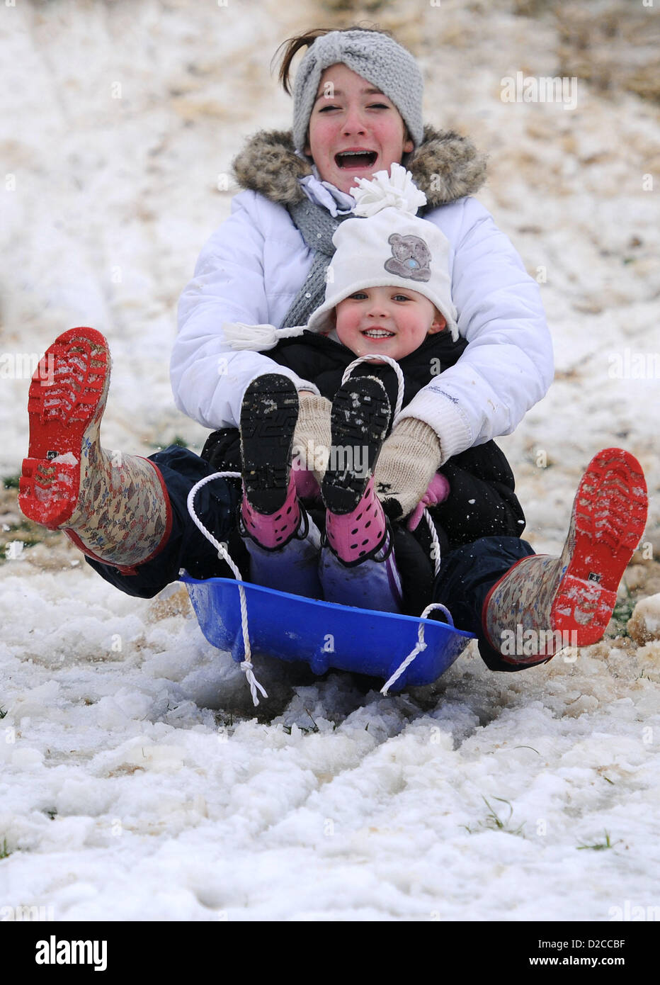 Sledging, sledding, Dorset, UK Stock Photo Alamy