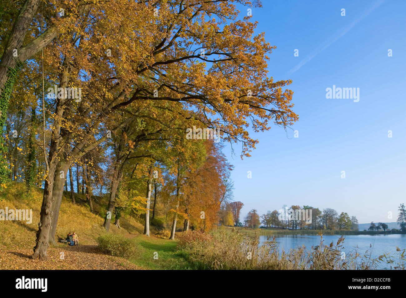 Werder, Germany, autumn mood in the park Petzow Stock Photo
