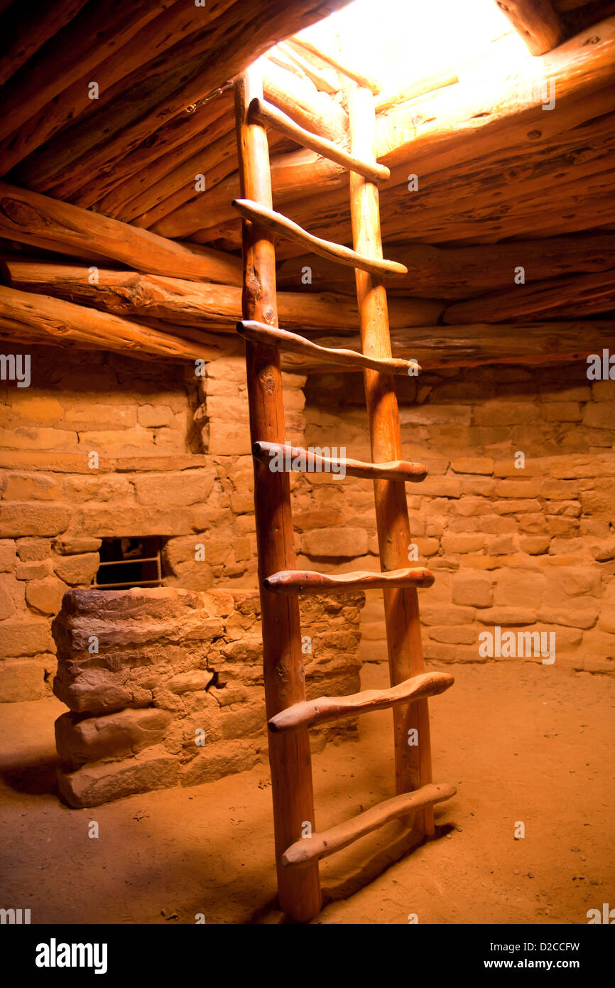 ladder at Spruce Tree House, cliff dwelling of pre-Columbian Anasazi indians and UNESCO World Heritage site, Mesa Verde NP USA Stock Photo