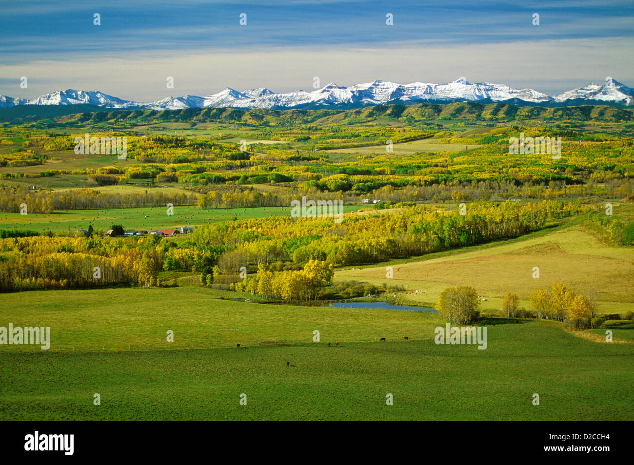 Canada. South Alberta. Rural Farms And Fields With Snow Covered
