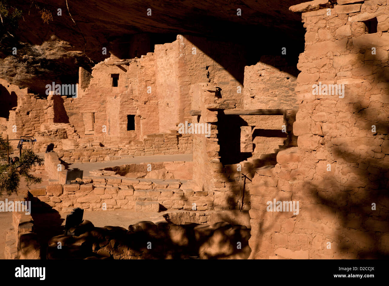 Spruce Tree House, cliff dwelling of pre-Columbian Anasazi indians and UNESCO World Heritage site, Mesa Verde National Park USA Stock Photo