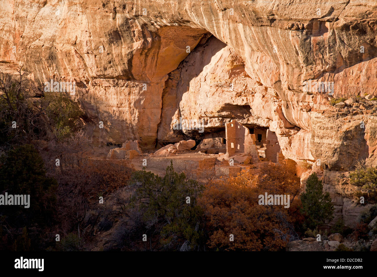 ruins of cliff dwelling of pre-Columbian Anasazi indians and UNESCO World Heritage site, Mesa Verde National Park in Colorado, Stock Photo