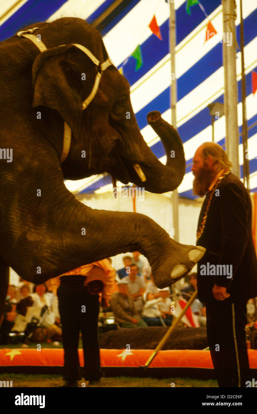 Animal Trainer And Elephant In Circus Stock Photo