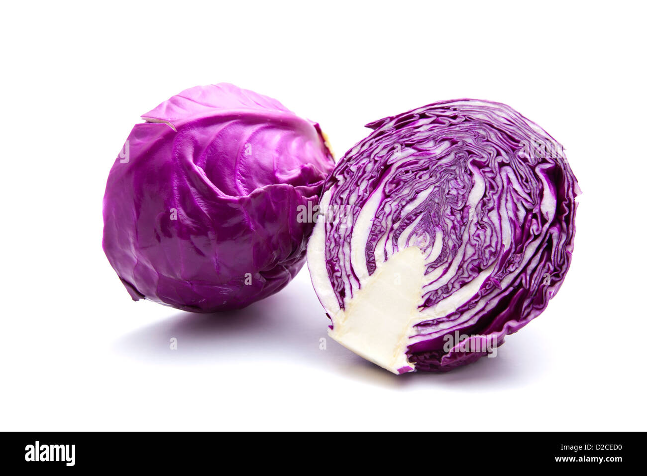 Purple cabbage on white background Stock Photo