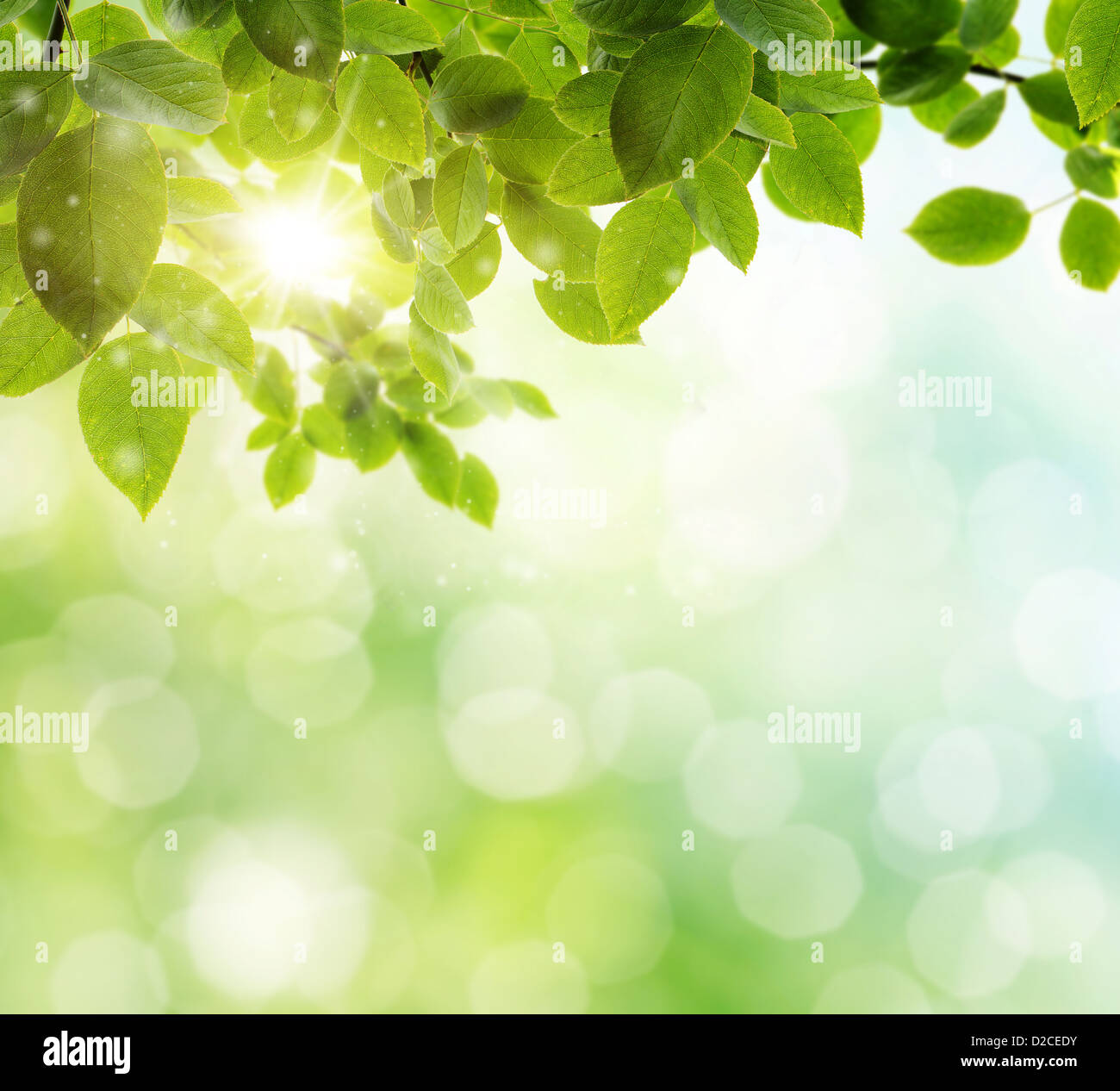natural green background with selective focus Stock Photo
