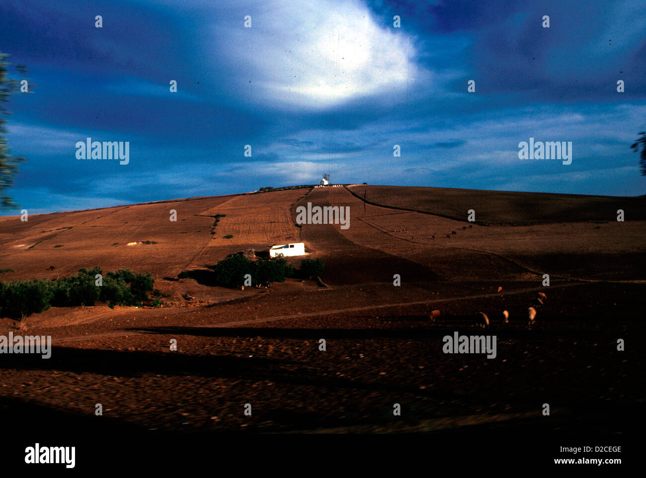 Morocco, Farmland Between Rabat And Fes. Stock Photo