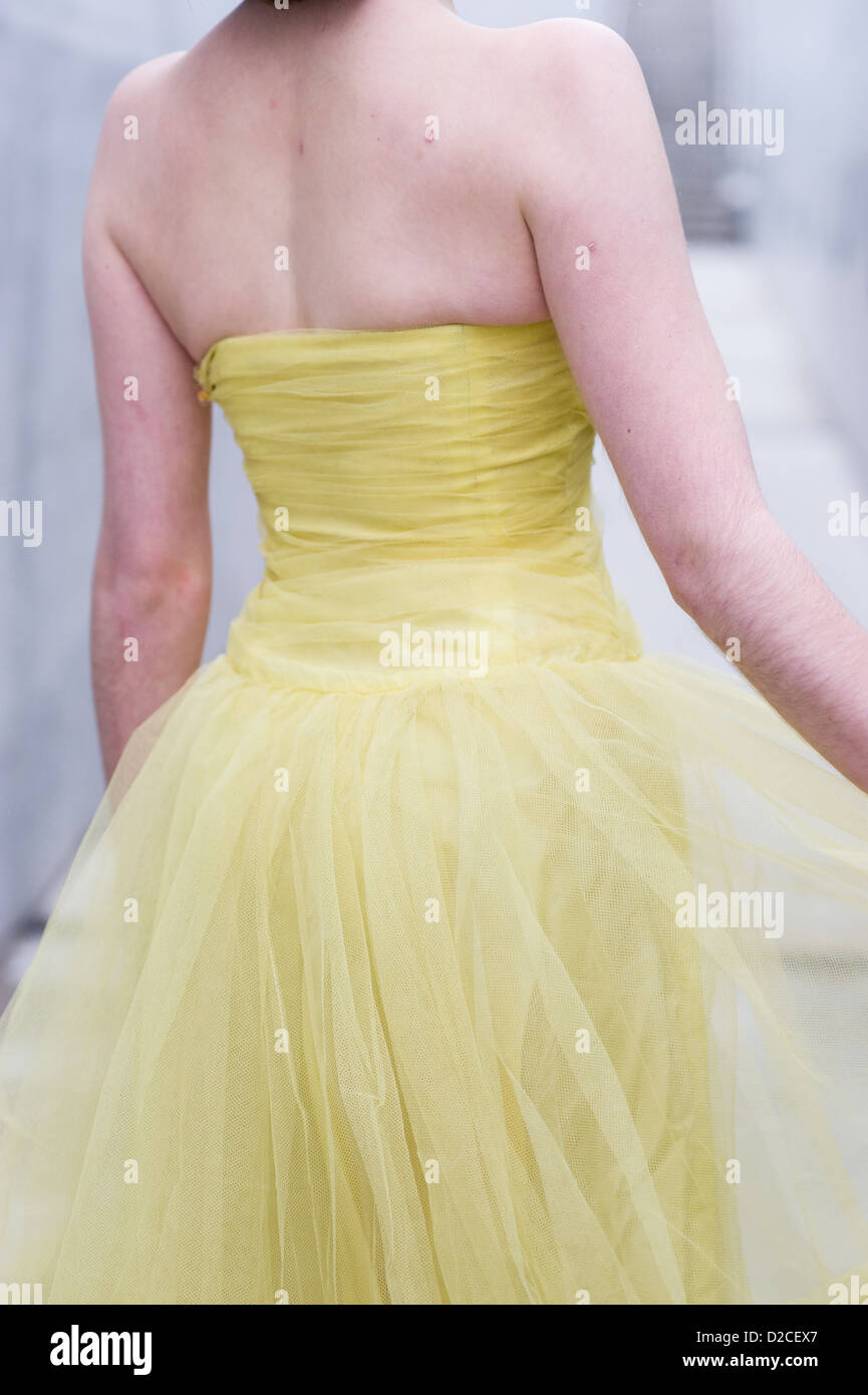 Pretty model in yellow 1950's tulle prom dress. Stock Photo