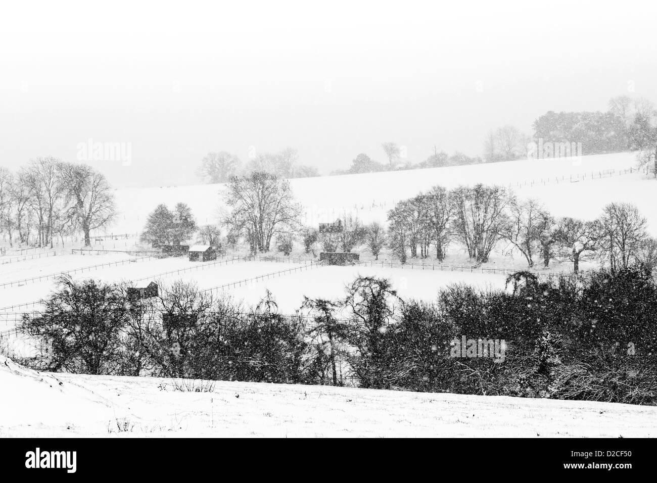 Black and white landscape surrey hires stock photography and images Alamy