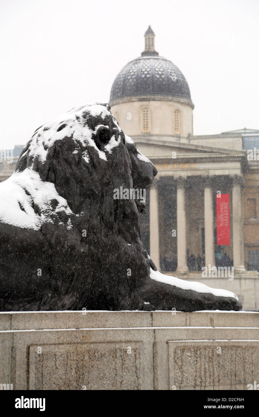 London, UK. 20th January 2013. Snow on a lion and the National Gallery in Trafalgar Square, London, England. Alamy Live News Stock Photo