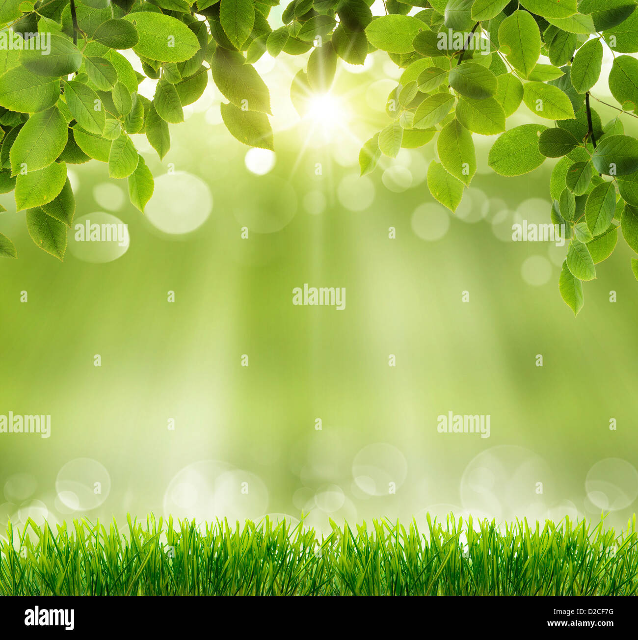 natural green background with selective focus Stock Photo