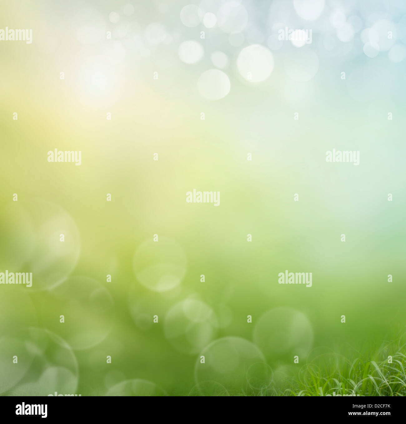 Spring or summer season abstract nature background with grass and blue sky in the back Stock Photo