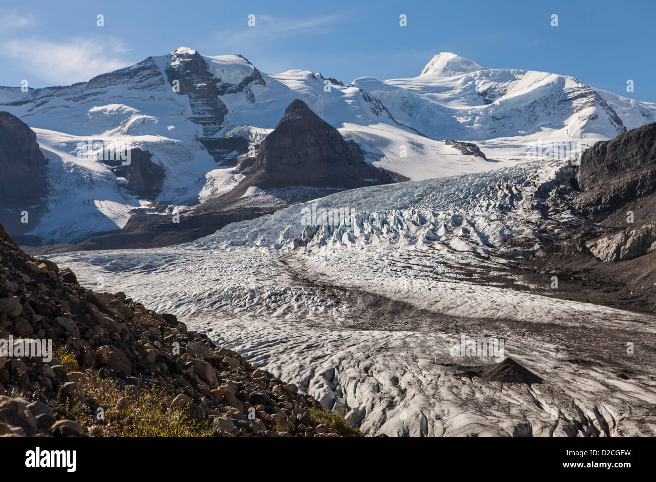 Mount Robson and the Robson Glacier from the Snowbird Pass Trail, Robson Provincial Park, Canadian Rockies, British Columbia Stock Photo