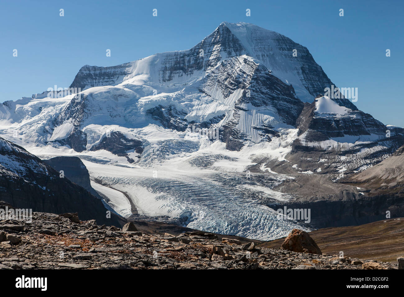 Mount Robson and the Robson Glacier from the Snowbird Pass Trail, Robson Provincial Park, Canadian Rockies, British Columbia Stock Photo