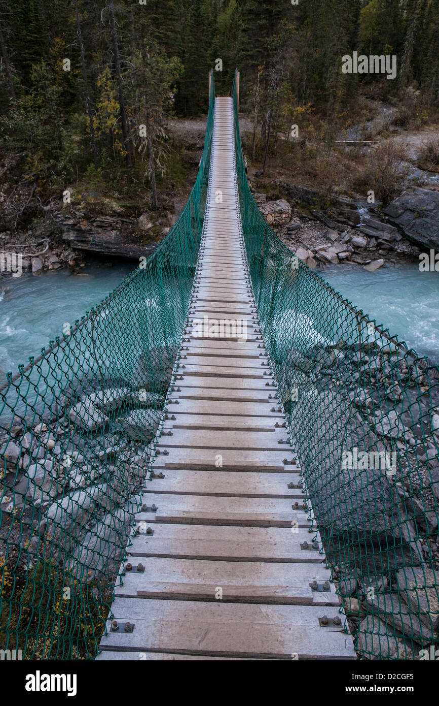 Suspension bridge over the Robson River near Whitehorn Camp in Mount Robson Provincial Park, British Columbia, Canada. Stock Photo