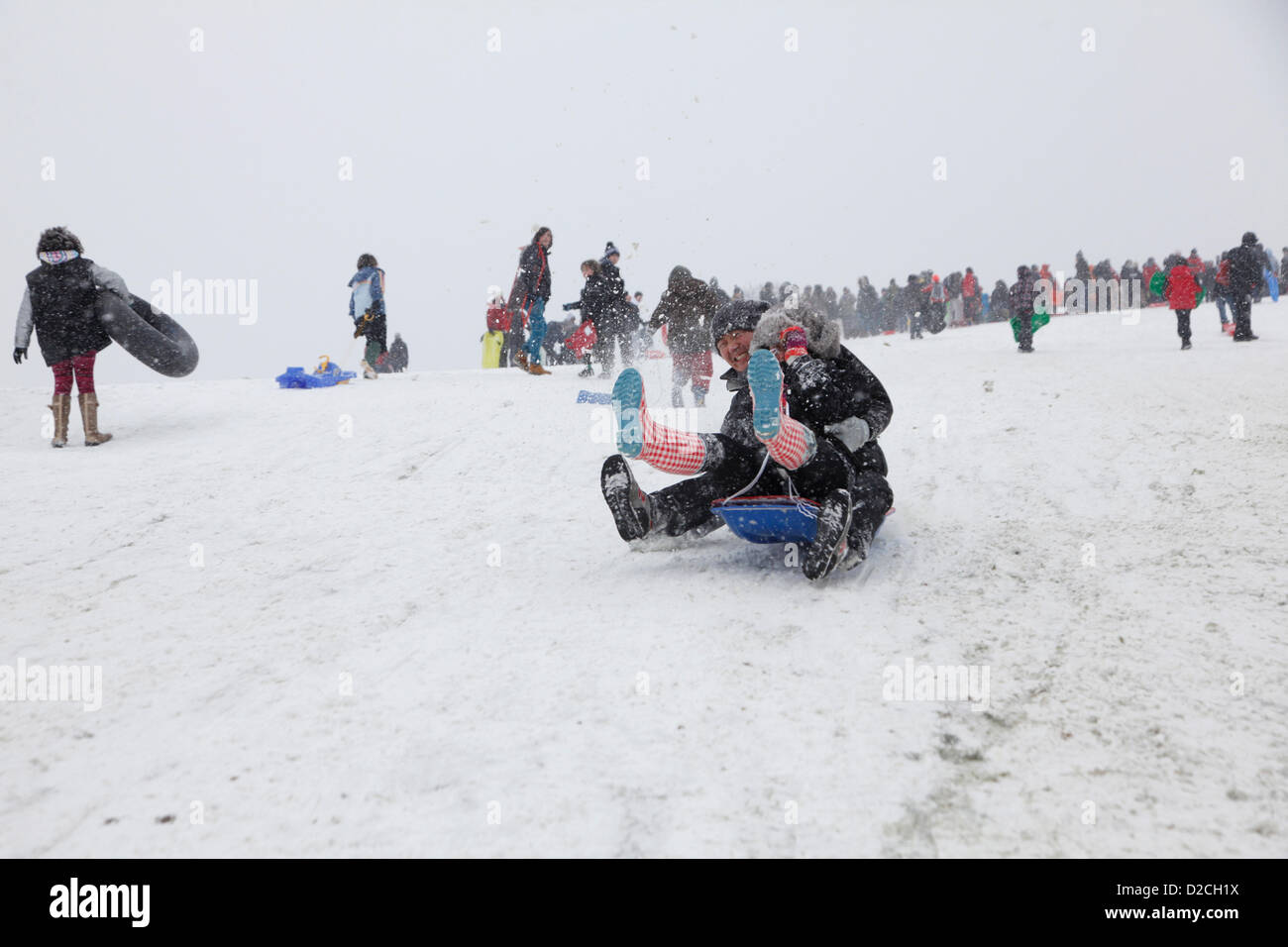 As snow falls across the capital, Londoners spend their Sunday tobogganing down Parliament Hill on Hampstead Heath. London. Sunday 20th January 2013 Stock Photo