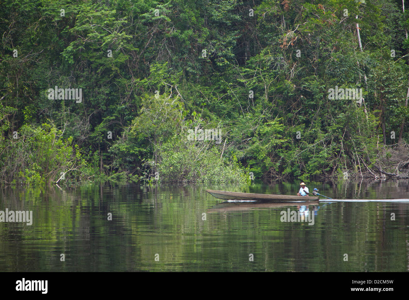 A lone fisherman travels up the Amazon river Stock Photo Alamy