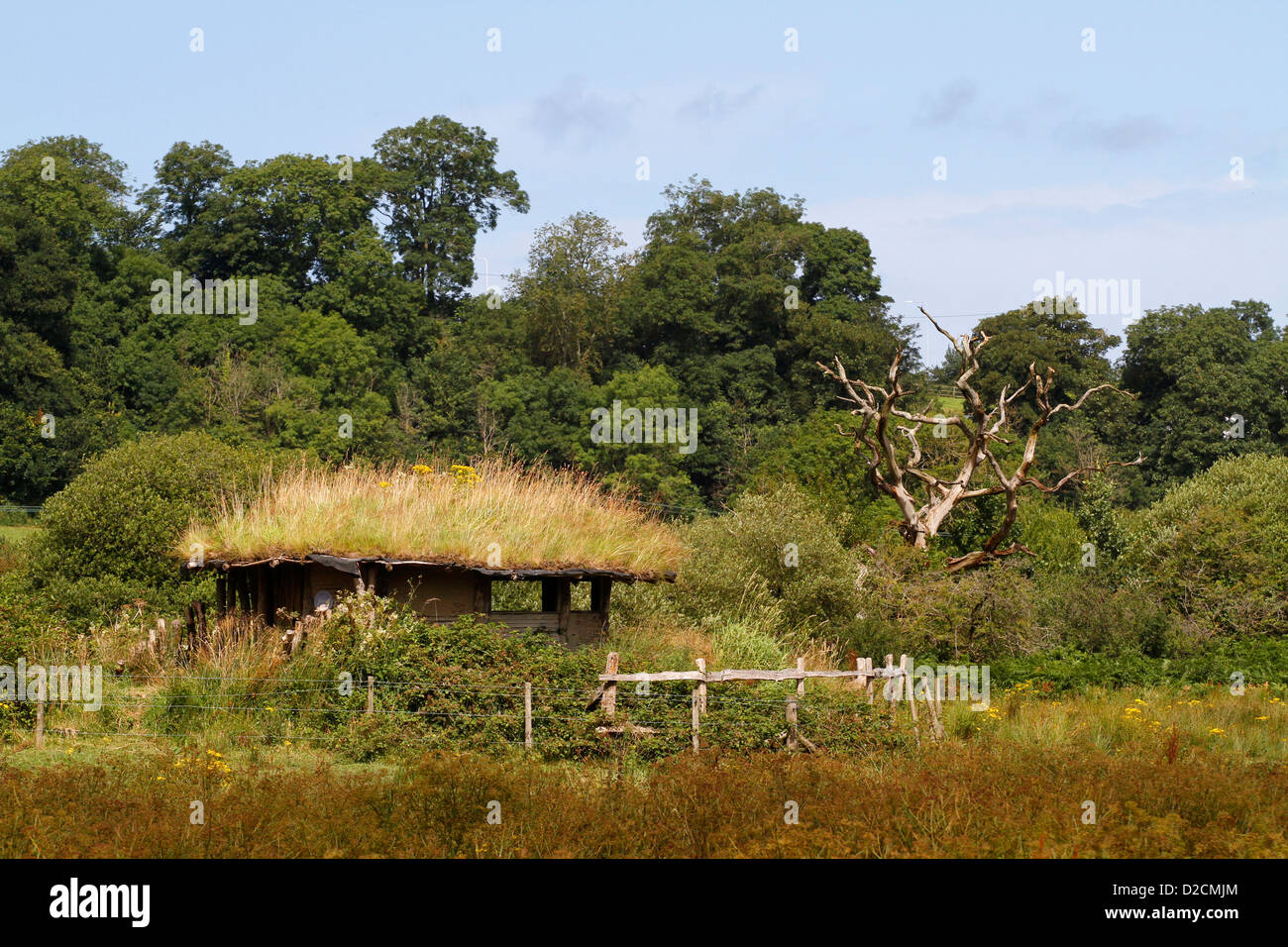 A bird hide at the Teifi marshes nature reserve, Welsh Wildlife Centre, Cilgerran, Pembrokeshire, Wales, UK Stock Photo