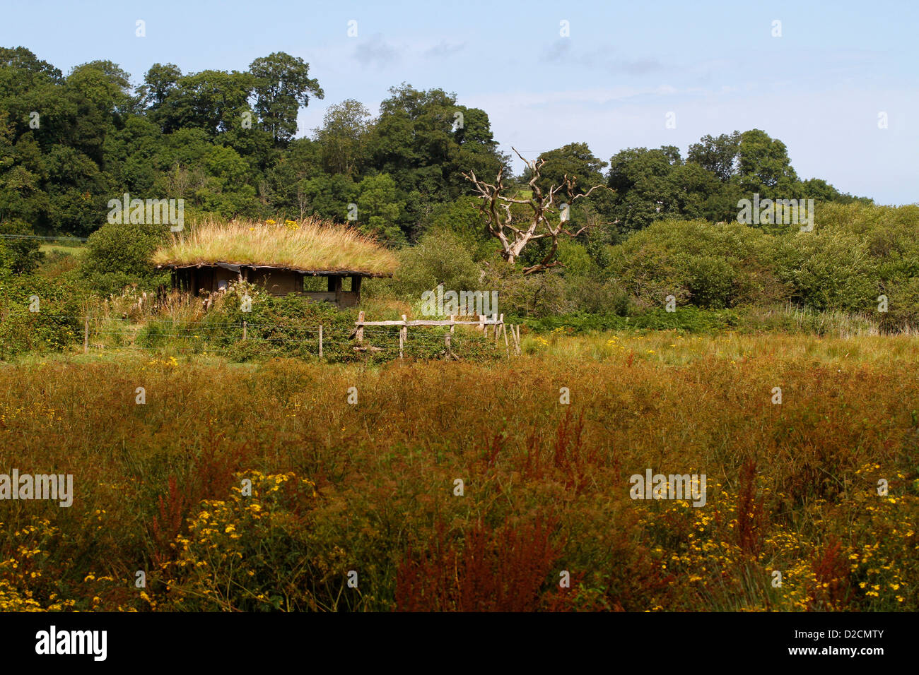 A bird hide at the Teifi marshes nature reserve, Welsh Wildlife Centre, Cilgerran, Pembrokeshire, Wales, UK Stock Photo