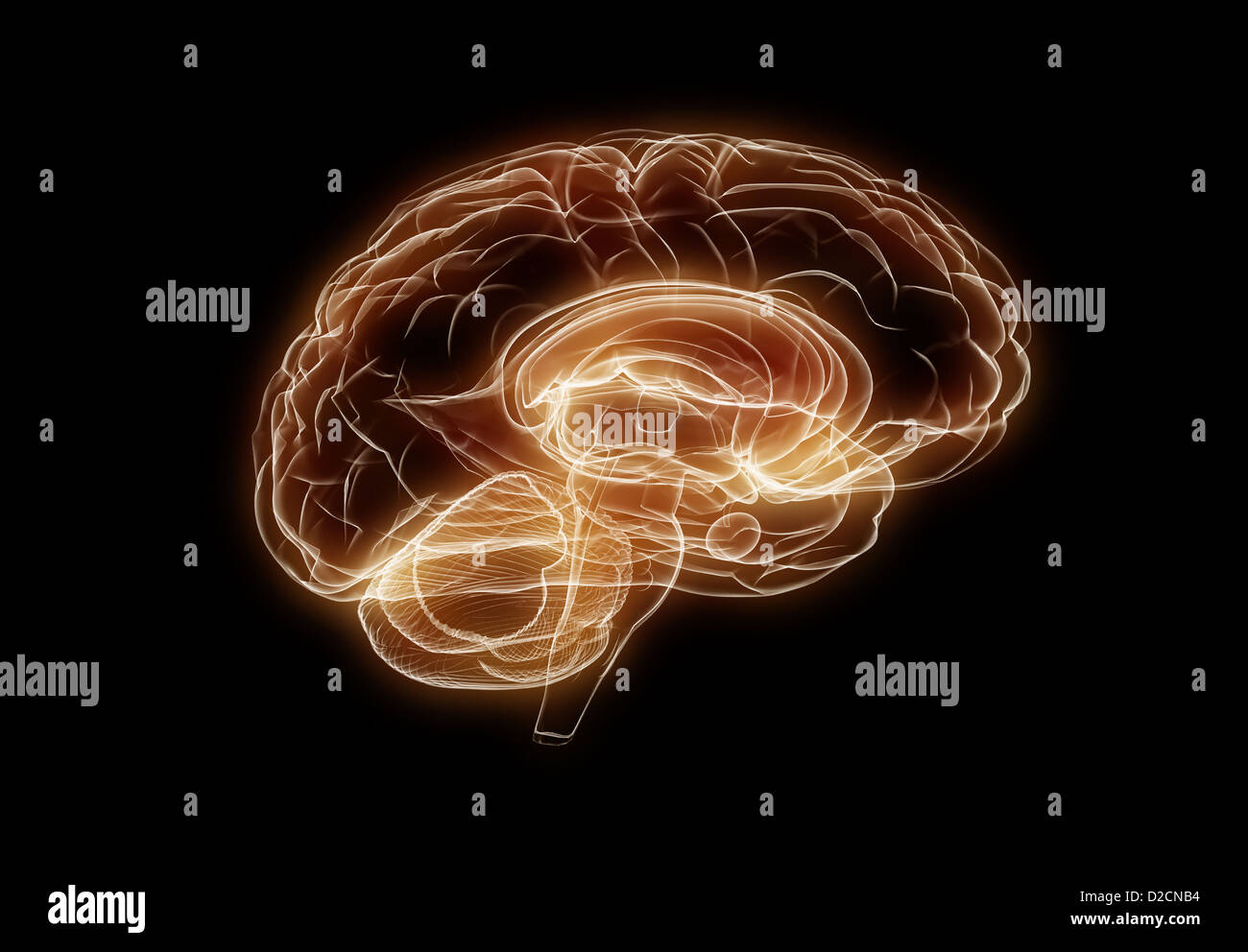 Glowing brain on black background Stock Photo - Alamy