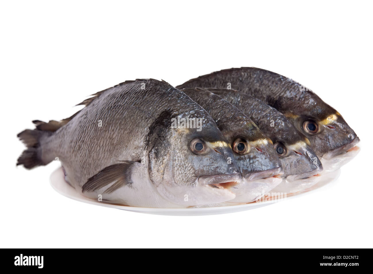 Four dorado fish on white dish isolated on white background Stock Photo
