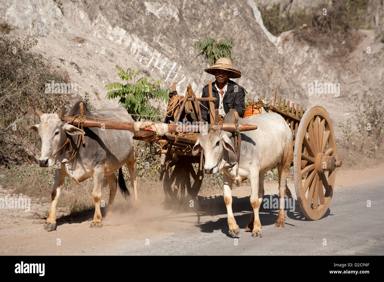 Ox Cart in rural Myanmar (Burma) Stock Photo
