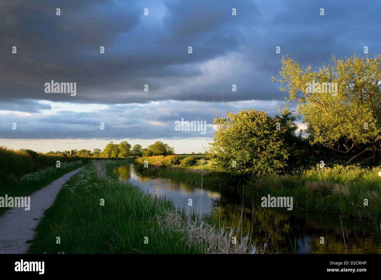 Canal with trees lit by evening sun with dark skies. Stock Photo