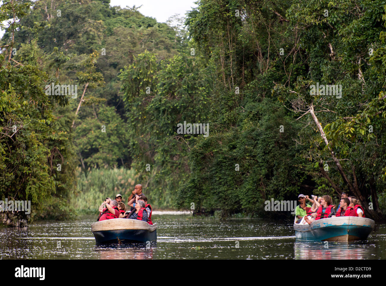 People searching for wildlife on river cruise in the Sub tropical rain forest Sabah Borneo Malaysia Stock Photo