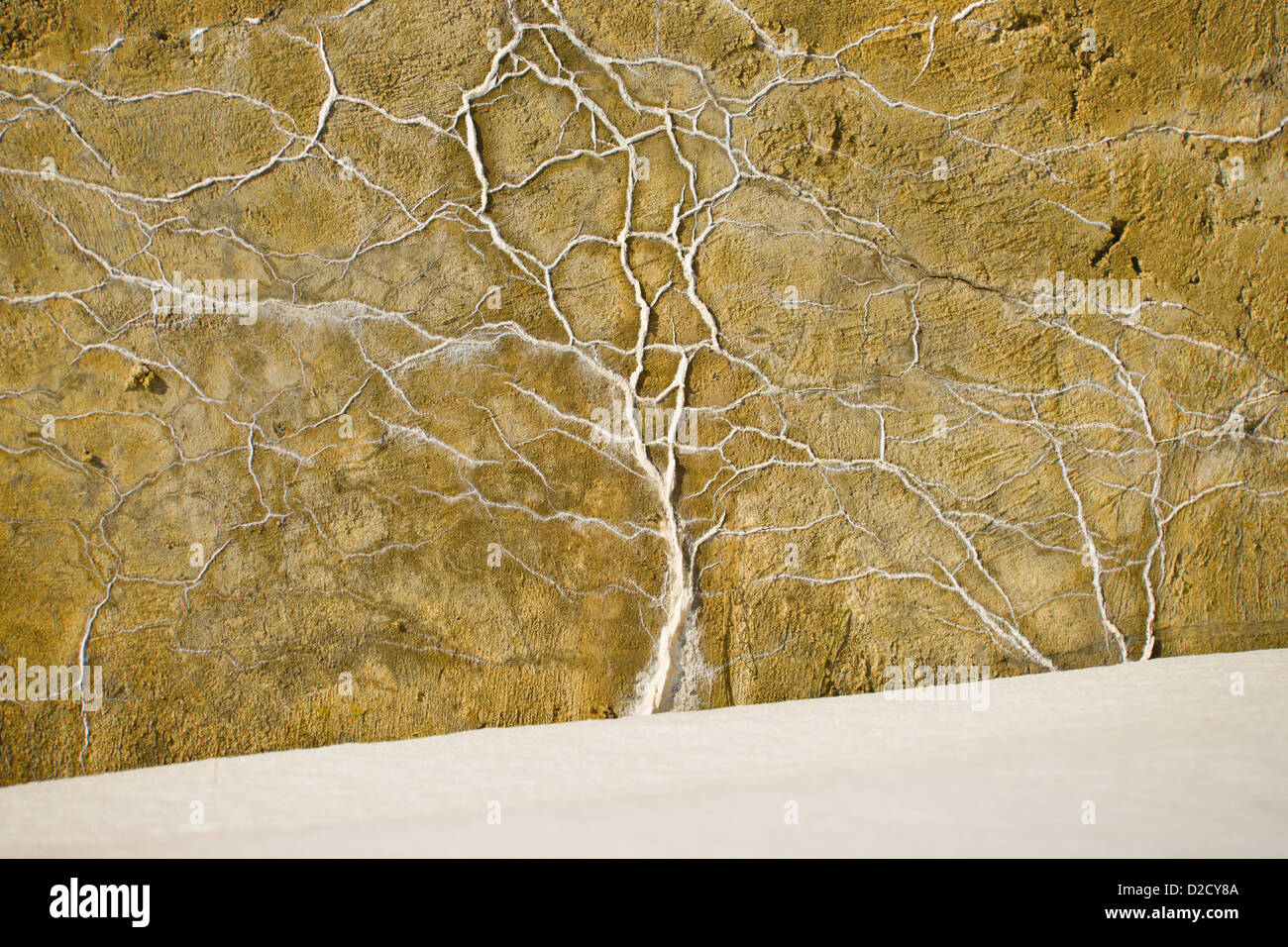 Efflorescence comes out of cracks in an old concrete wall Stock Photo