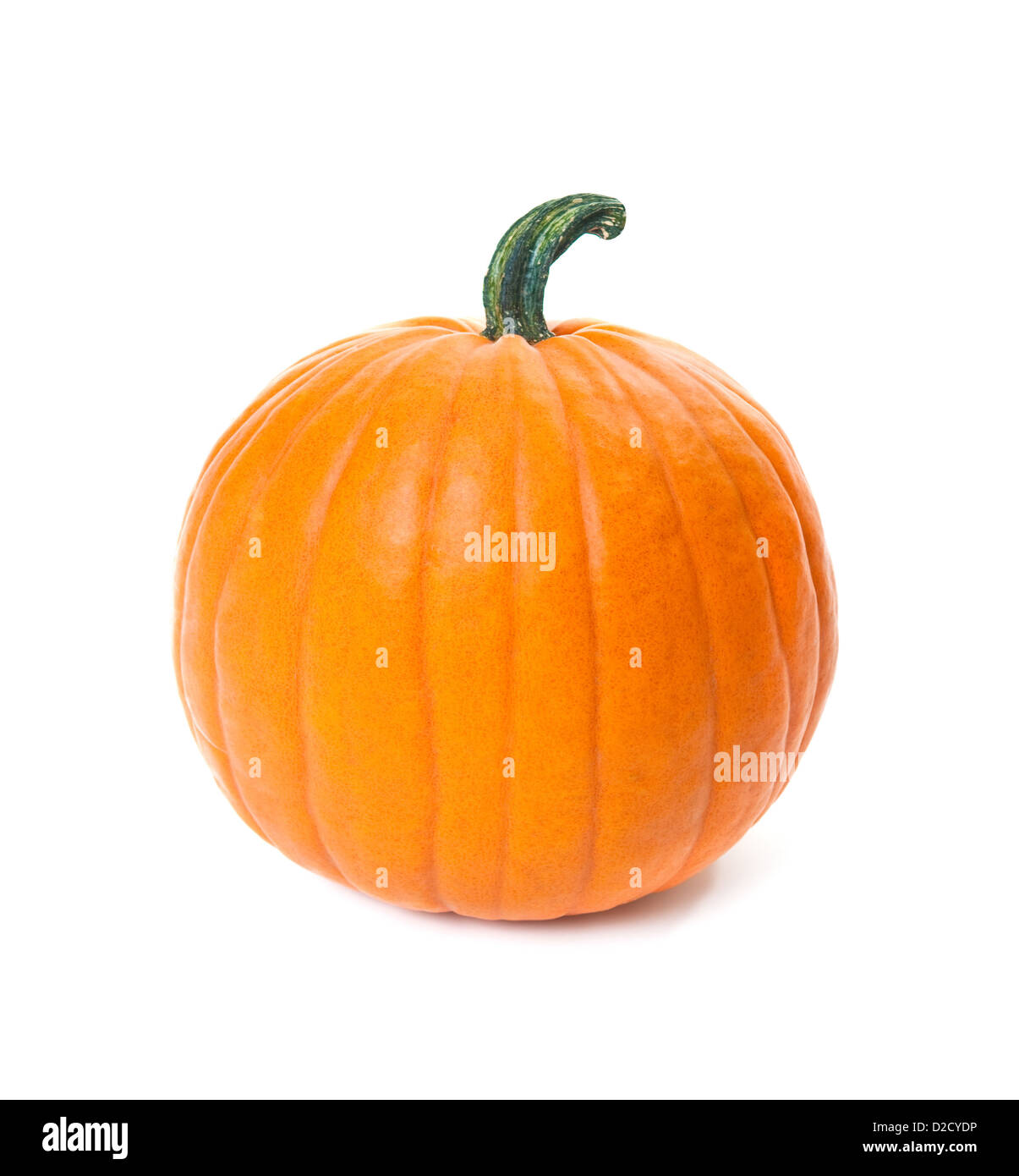 orange pumpkin isolated on white background Stock Photo - Alamy